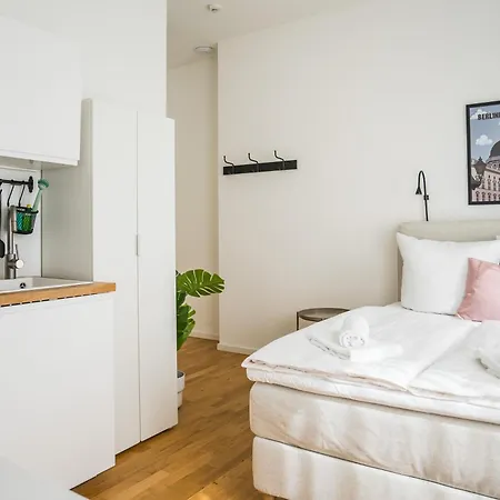 Homaris Schlueterstrasse