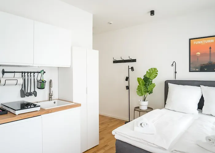 Homaris Schlueterstrasse *