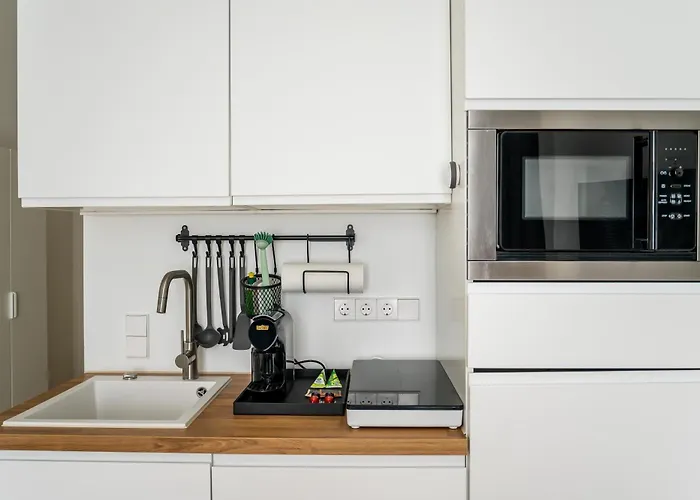 Homaris Schlueterstrasse *