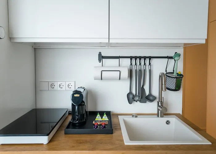 Homaris Schlueterstrasse Daire Berlin