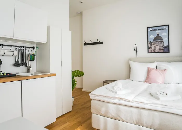 Homaris Schlueterstrasse