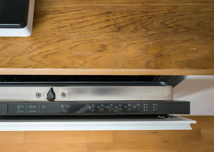 Daire Homaris Schlueterstrasse Berlin