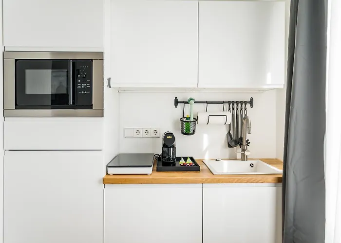 Homaris Schlueterstrasse Daire Berlin