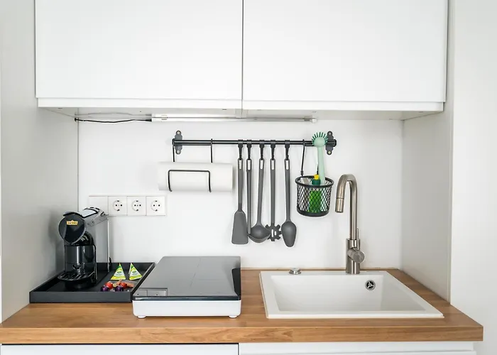 Homaris Schlueterstrasse *