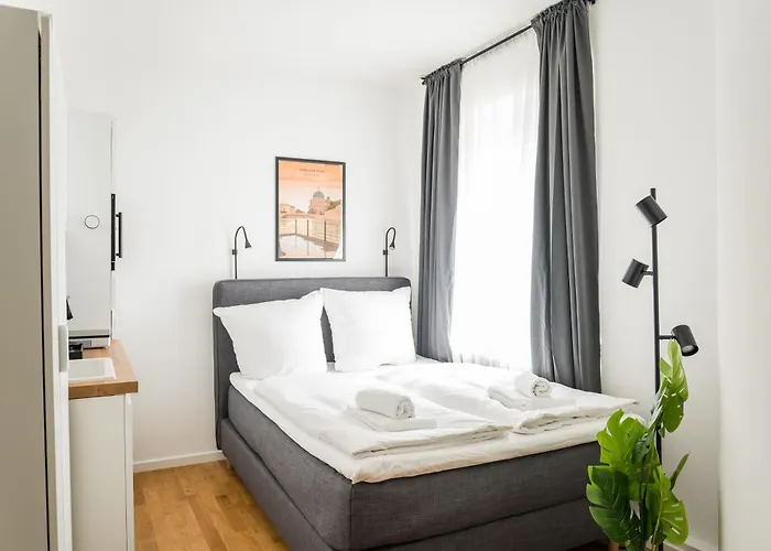 Homaris Schlueterstrasse